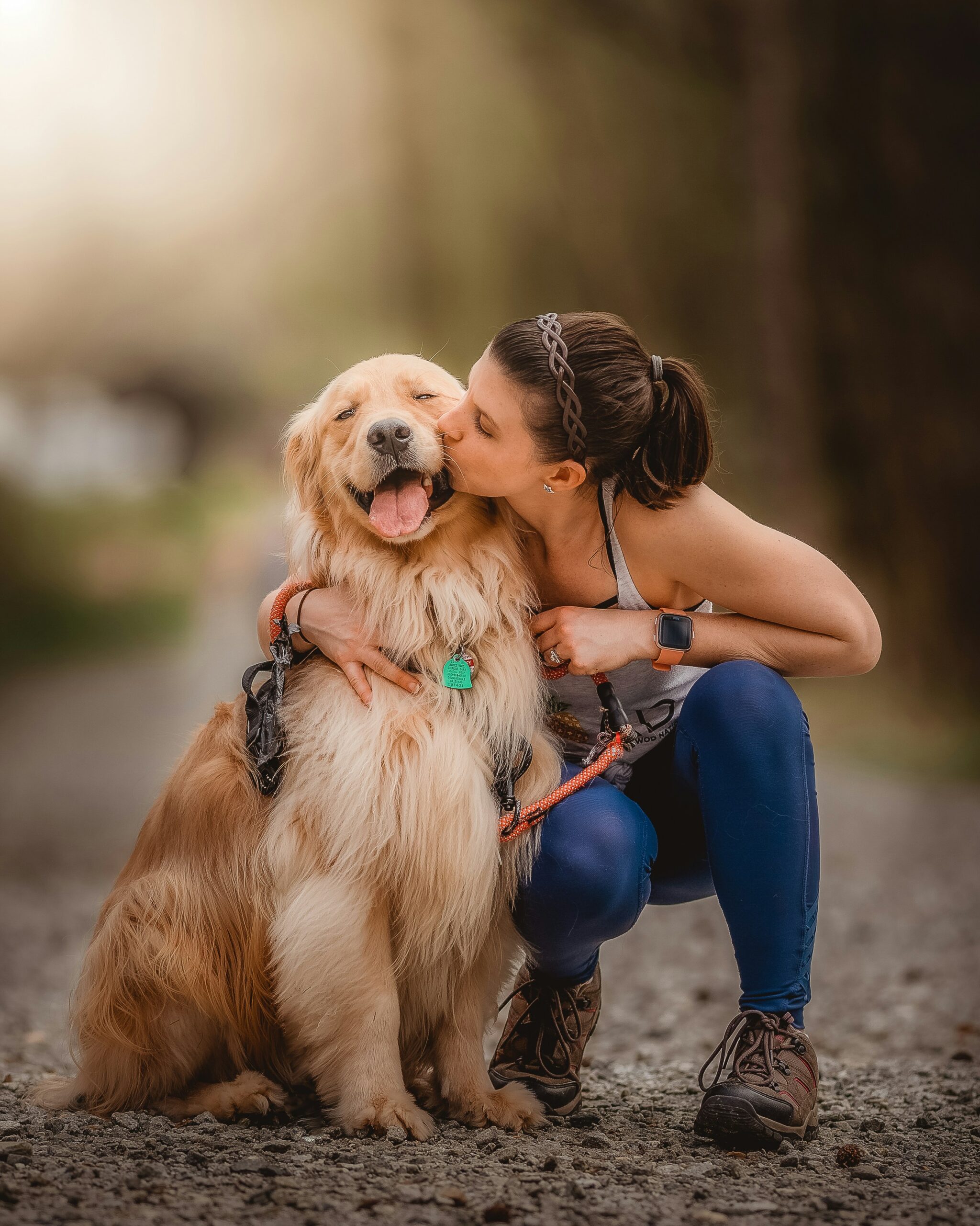 Hund mit Besitzer